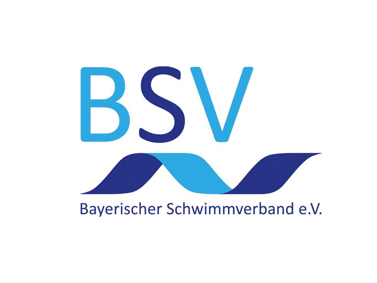 BSV Logo