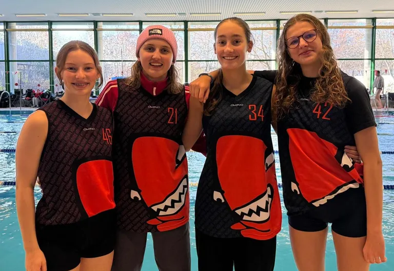 Sharks 4x (w).jpeg